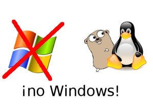 GoLang no es para Windows
